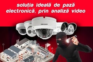 verifies security vms